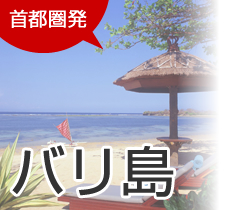 首都圏発　バリ島旅行