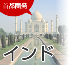 首都圏発 インド旅行