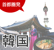 首都圏発　韓国旅行