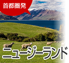 首都圏発　ニュージーランド旅行