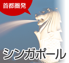 首都圏発　シンガポール旅行