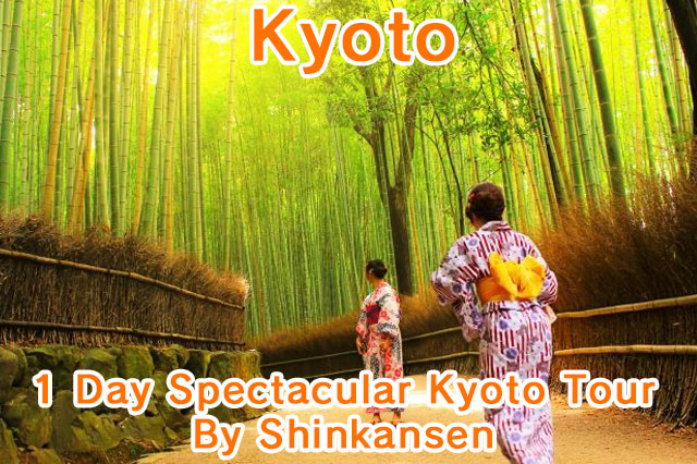 1 Day Spectacular Kyoto Tour By Shinkansen (Round Trip from Tokyo)