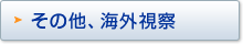 ���̑��A�C�O���@