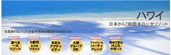 社員旅行、報奨旅行 ハワイモデルプラン
