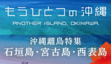 �����ЂƂ̉���