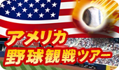 �A�����J �싅�ϐ�c�A�[
