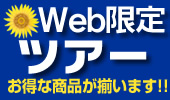 Web����C�O�c�A�[