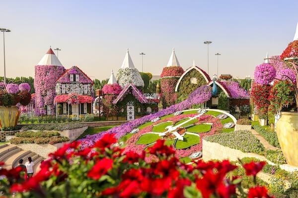 世界最大の花の彫刻がある「ドバイ・ミラクル・ガーデン」