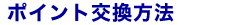 �|�C���g�������@