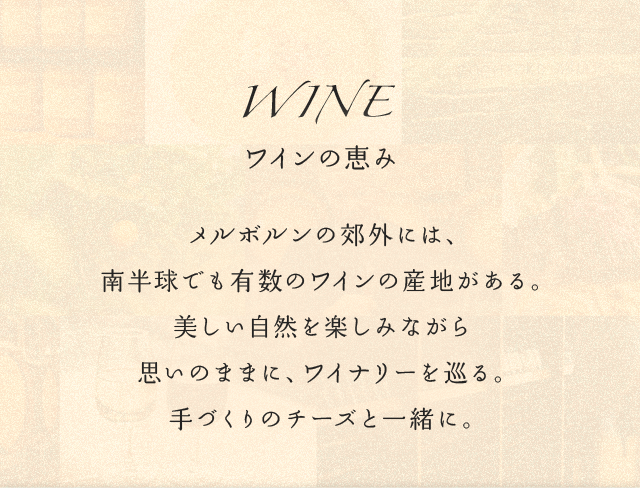 WINE ワインの恵み