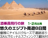 �X�y�C�����i8����