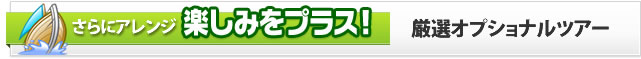 オプショナルツアー