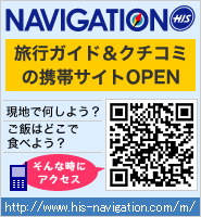 H.I.S. NAVIGATION