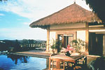 �o�������c���[�i�C���[�W�j