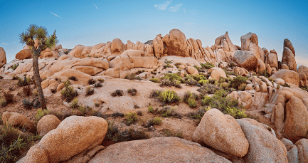 ジョシュアツリー国立公園