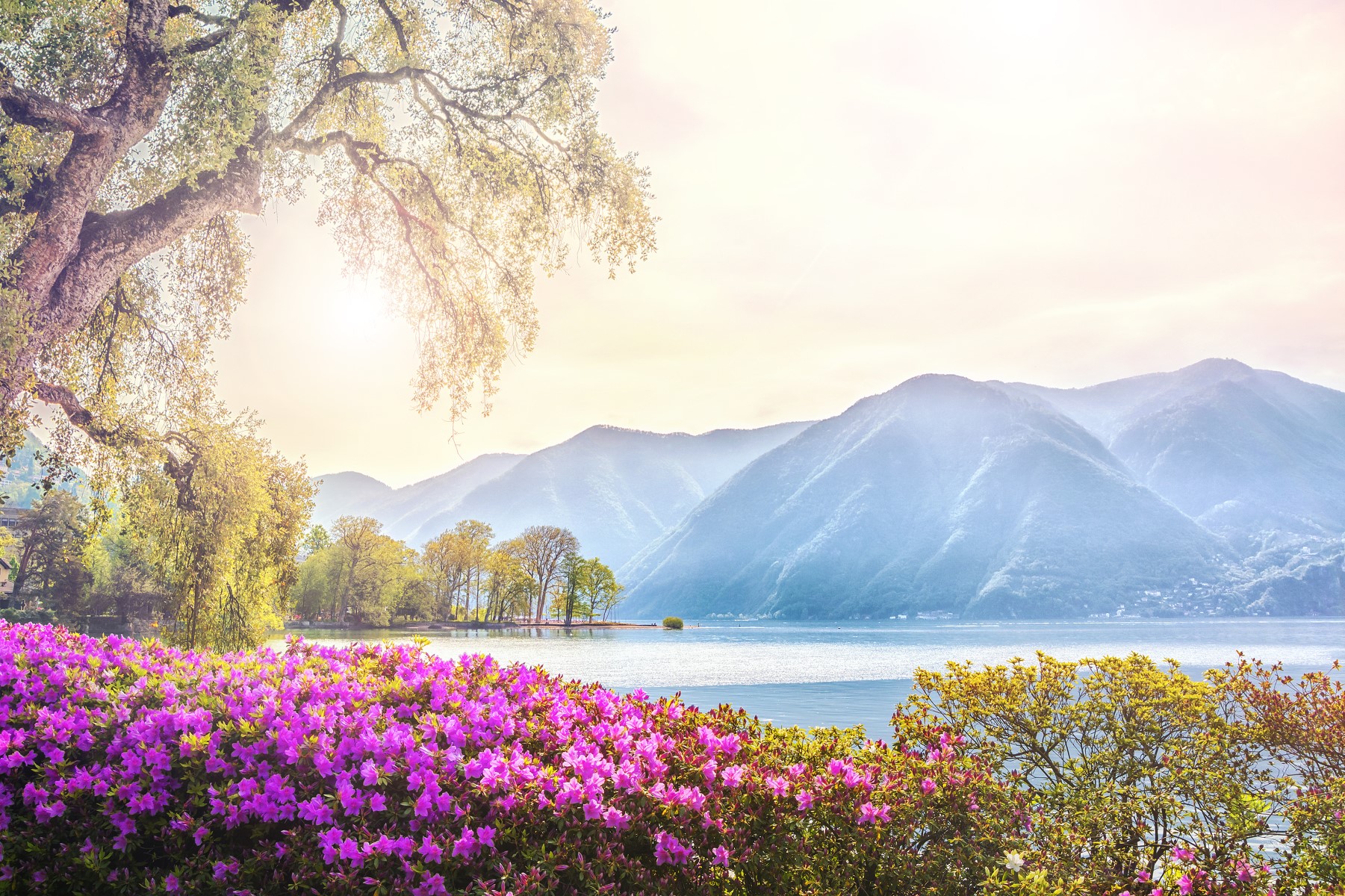 ヨーロッパランドクルーズ