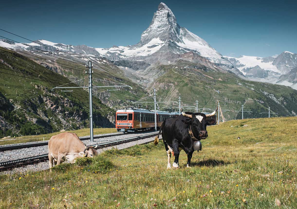 スイス ハーフフェアカード