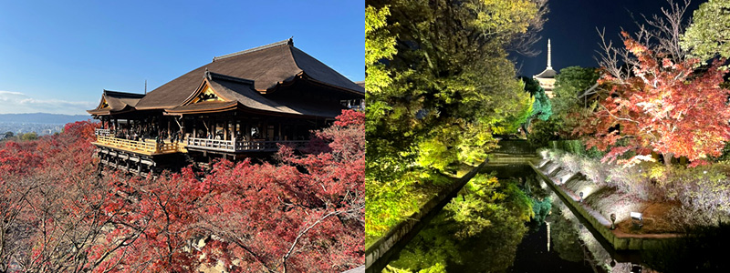 紅葉がきれいな京都の秋