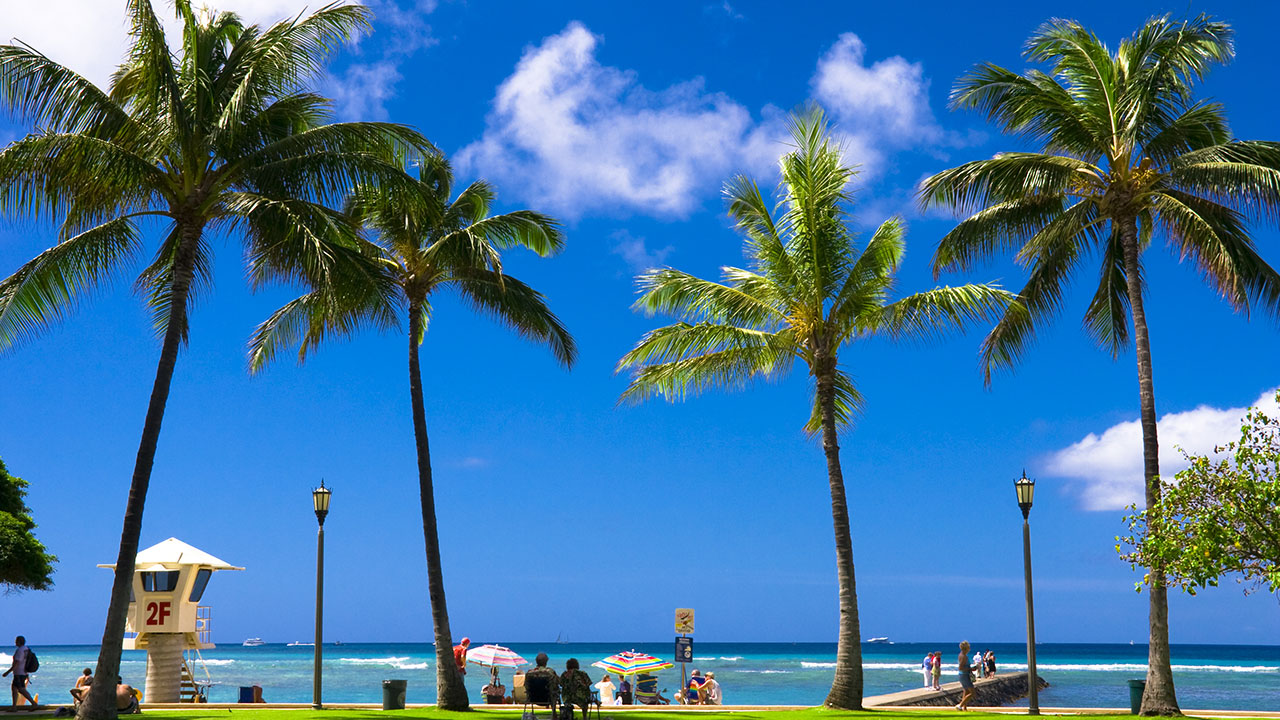 コラム 夏休み直前 ファミリーにオススメ ヒルズスタッフが選ぶハワイのホテル3選 High Premium His Hills Shibuya