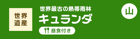 世界遺産 世界最古の熱帯雨林 キュランダ 昼食付き