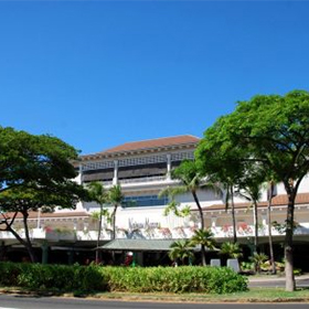 ワイキキトロリー　ピンク・ライン