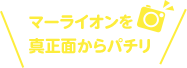 マーライオンを真正面からパチリ