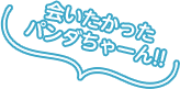 会いたかったパンダちゃーん！