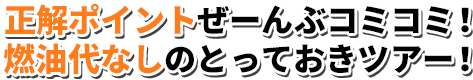 正解ポイントぜーんぶコミコミ！燃油代なしのとっておきツアー！