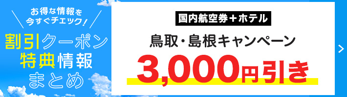 国内航空券＋ホテル3,000円引き