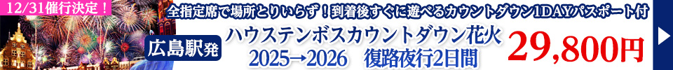 ハウステンボスカウントダウン花火