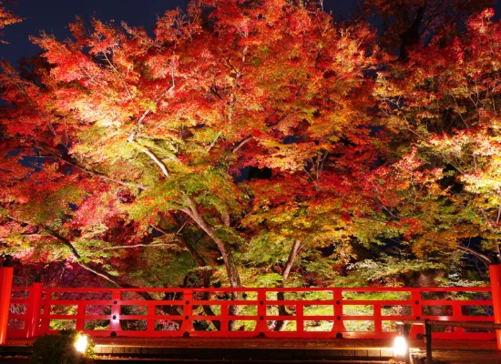 京都_北野天満宮（イメージ）