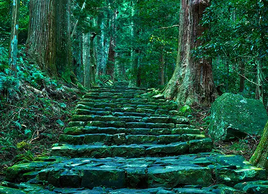和歌山_熊野古道大門坂（イメージ）