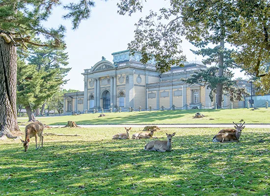 奈良_奈良国立博物館（イメージ）