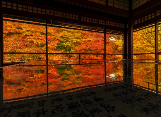 京都_瑠璃光院（イメージ）