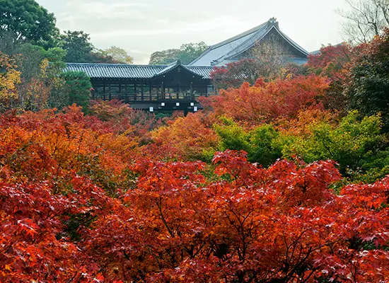 京都_東福寺（イメージ）
