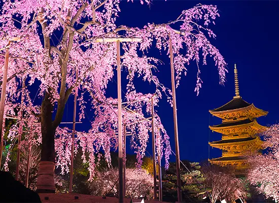 京都_東寺（イメージ）