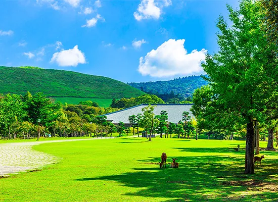 奈良_若草山（イメージ）