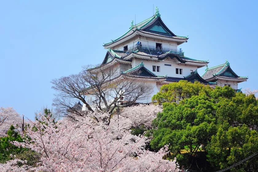 関西地方の桜名所＆お花見スポット18選