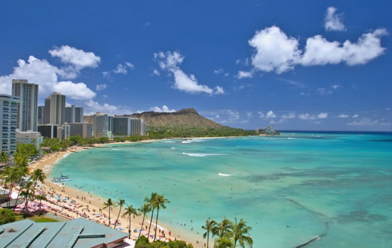 Q1.ハワイでは、どんな仕事をしていましたか？