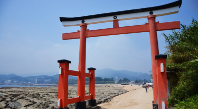 ①青島神社・宮交ボタニックガーデン青島
