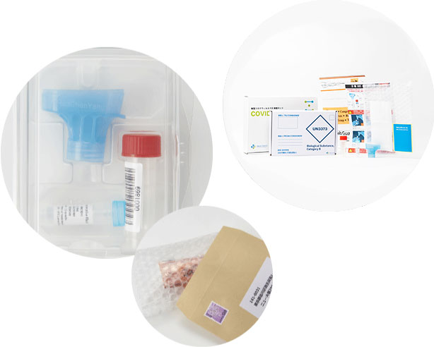 PCR検査キット・内容物（イメージ）