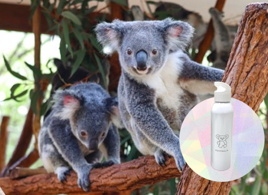 ゴールドコースト