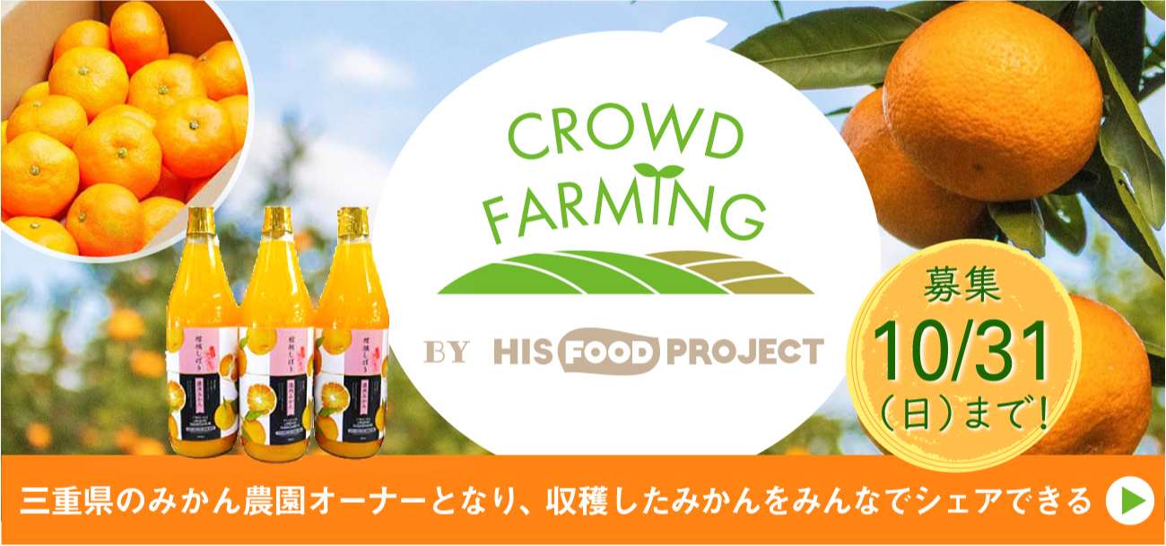 Hisの法人 団体 組織向けサービス