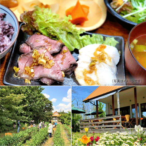 農家レストランいぶき