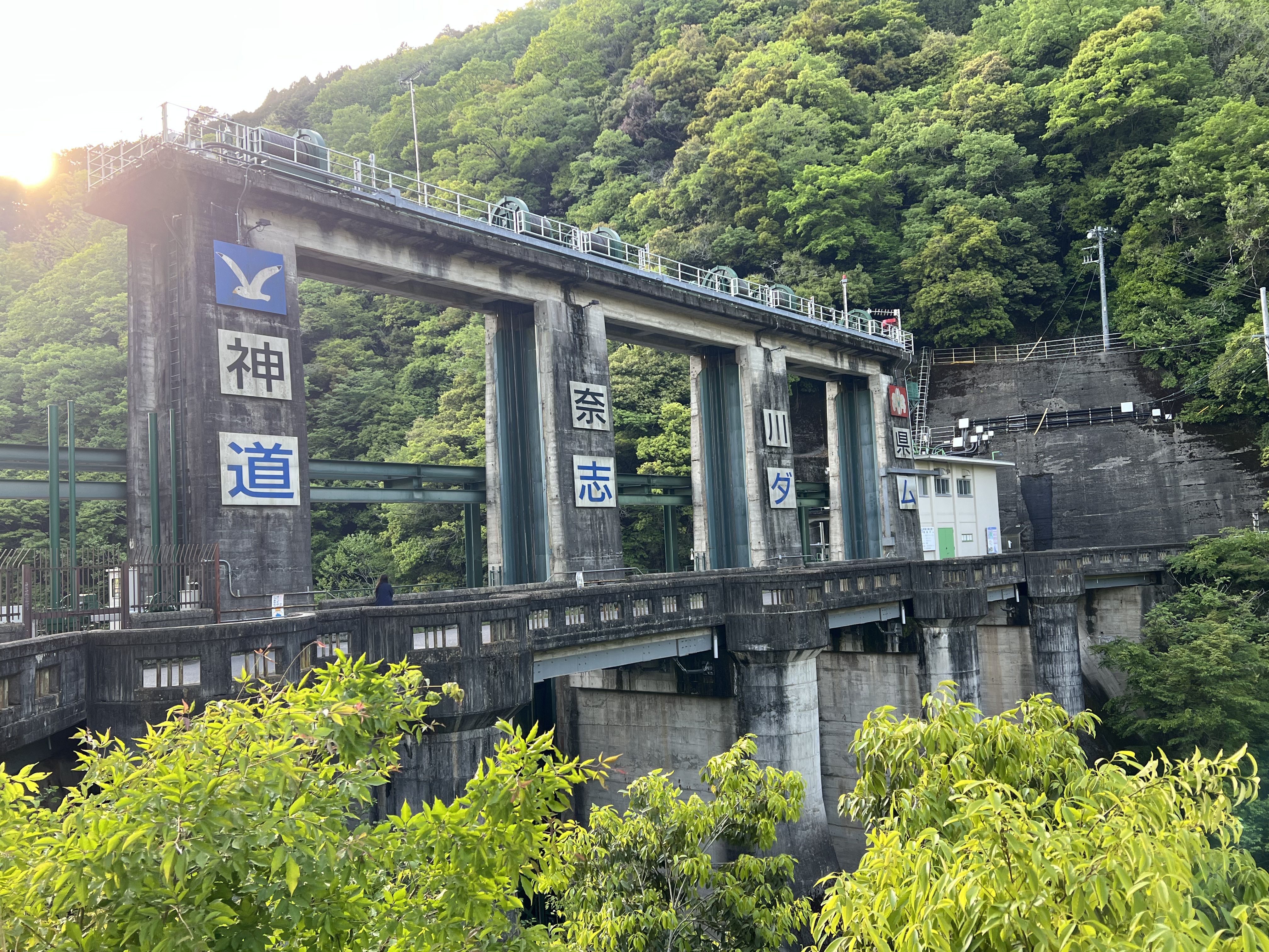 道志ダム