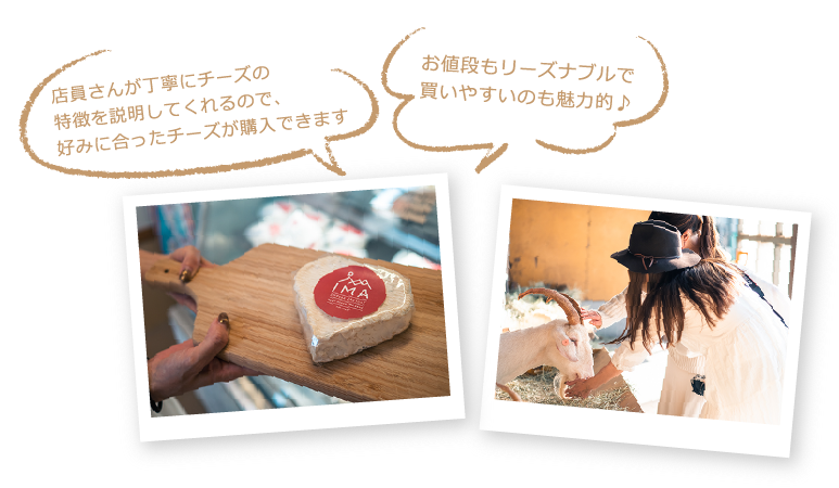 今牧場チーズ工房