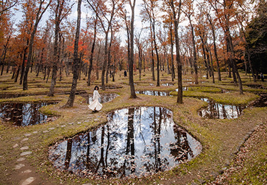 アートビオトープ那須
