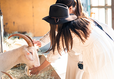 (有)那須高原今牧場　チーズ工房