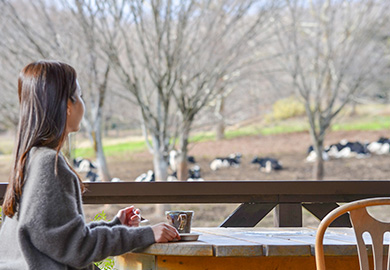 チーズケーキ工房　MANIWA FARM