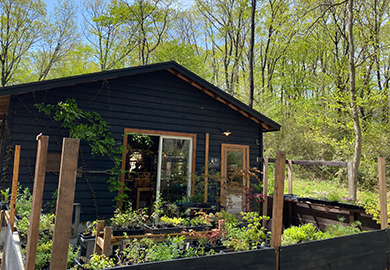 小さな緑のインテリア 苔屋